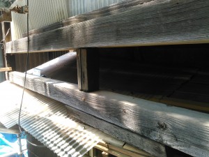 KIMG2441