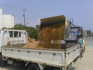 KIMG2945