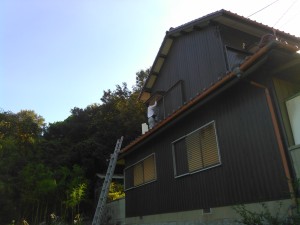 KIMG3265